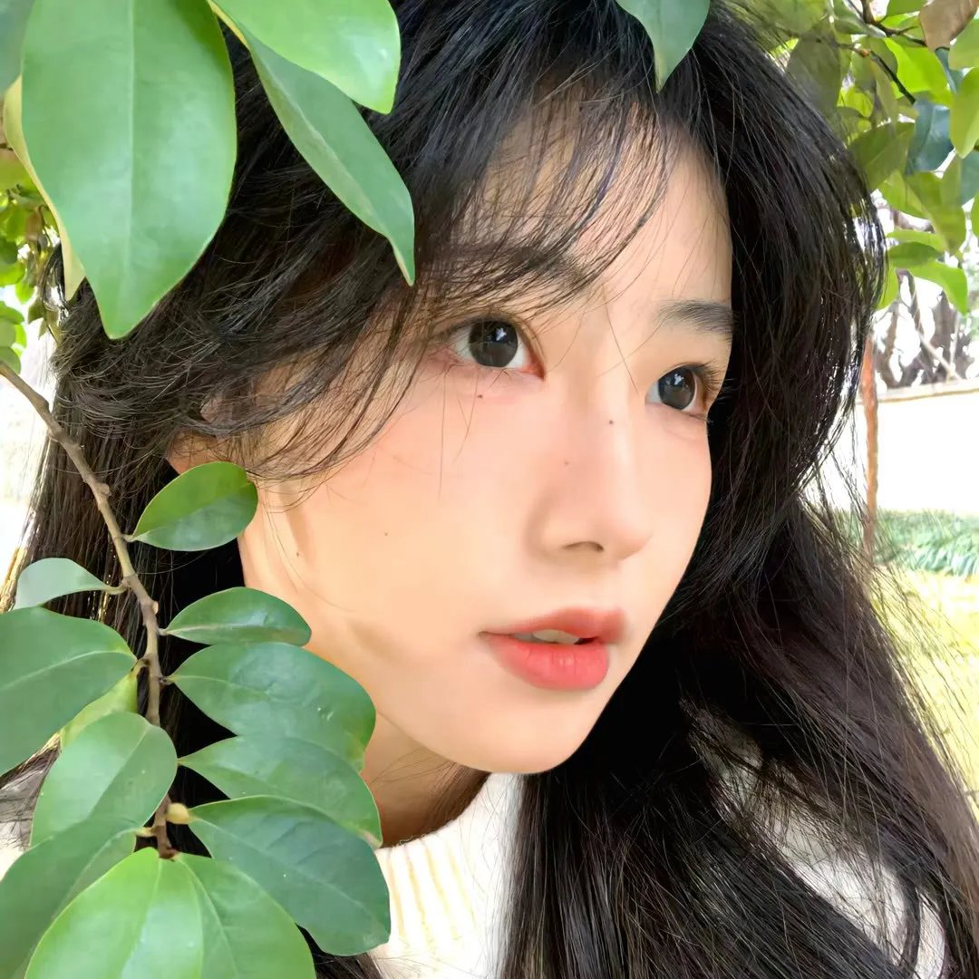 我江海第一深情你也是我前任吗